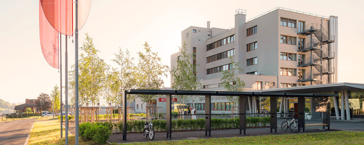 Lehrstelle Koch / Köchin EFZ